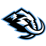 Minnesota Timberwolves 로고